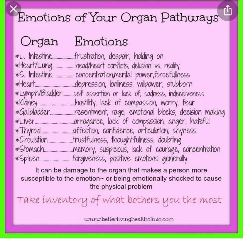 emotions of your organs pathways